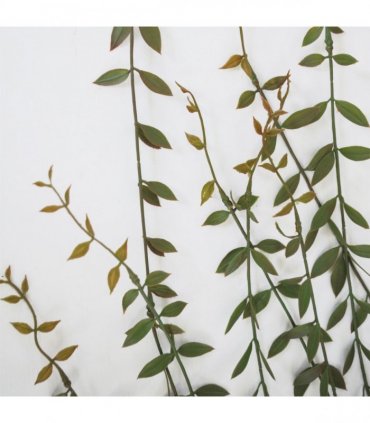 Artificial Hanging String of Pearls Green 120cm Pack of 12 Plastic Leaves Vines