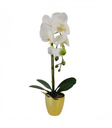46cm Artificial Orchid White / Gold