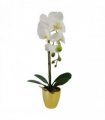 46cm Artificial Orchid White / Gold