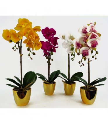 46cm Artificial Orchid White / Gold