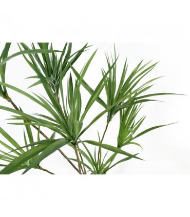 Artificial Dragon Tree Plant Green Plastic 125cm Natural Look Home Decor