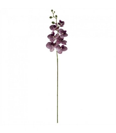 Artificial Phalaenopsis Orchid Purple Stems Pack of 6 x 100cm - 42 Flowers