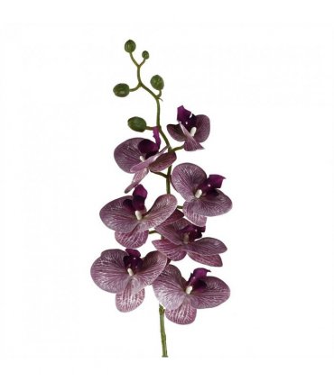 Artificial Phalaenopsis Orchid Purple Stems Pack of 6 x 100cm - 42 Flowers