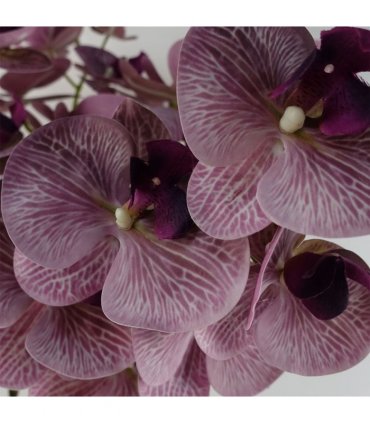 Artificial Phalaenopsis Orchid Purple Stems Pack of 6 x 100cm - 42 Flowers
