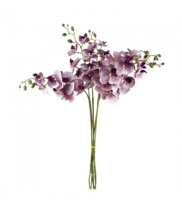 Artificial Phalaenopsis Orchid Purple Stems Pack of 6 x 100cm - 42 Flowers