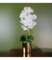 52cm Artificial Orchid Large - White / Gold