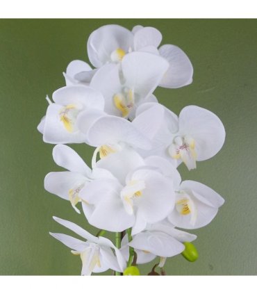 52cm Artificial Orchid Large - White / Gold