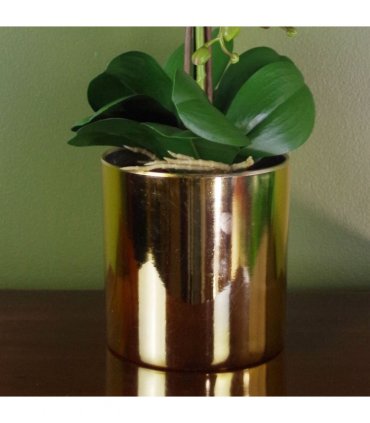 52cm Artificial Orchid Large - White / Gold