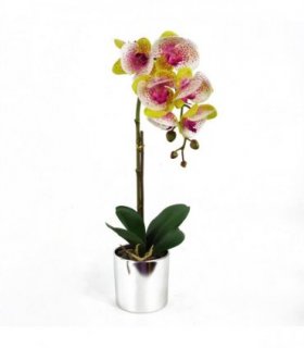 46cm Artificial Orchid Harlequin Pink with Silver Pot