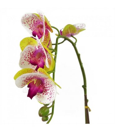 46cm Artificial Orchid Harlequin Pink with Silver Pot