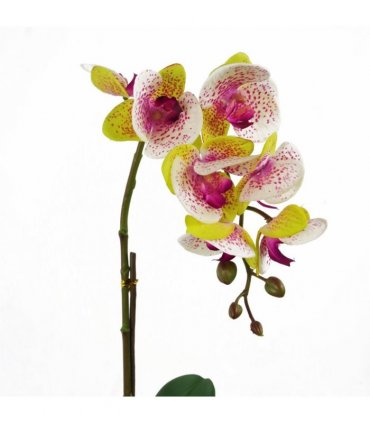 46cm Artificial Orchid Harlequin Pink with Silver Pot