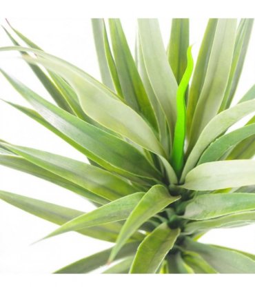 Artificial Green Yukka Plant 90cm (3ft) Large Spiky Tree Realistic Design