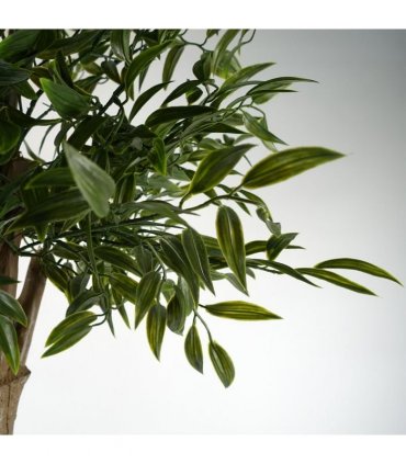 140cm UV Resistant Ruscus Tree- 2716 leaves