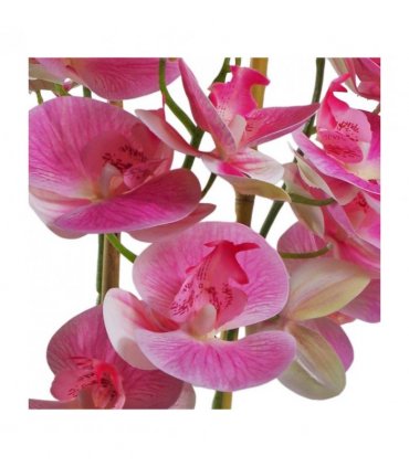 Artificial Orchid Light Pink 70cm with Black Ceramic Planter - Wired Stems Shape
