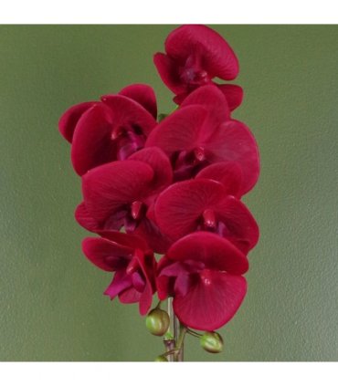 Artificial Orchid Red with Silver Pot Real Touch Leaves 7 Flowers 46cm