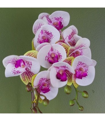 48cm Harlequin Orchid Artificial  - Pink with Gold Pot