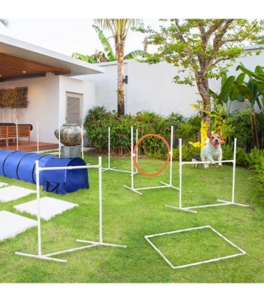 Six-Piece Dog Agility Equipment Set with Carry Bag - Multicoloured