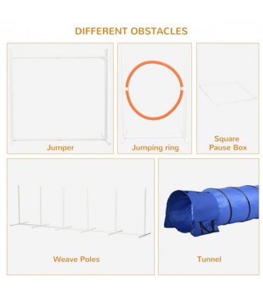 Six-Piece Dog Agility Equipment Set with Carry Bag - Multicoloured