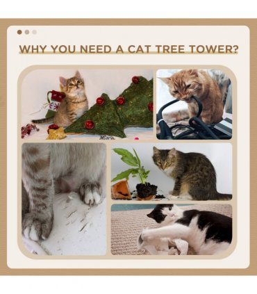Cat Tree, Kitten Scratcher Activity Centre w/ Sisal Scratching Post, Toy Ball