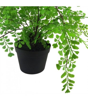 35cm Artificial Potted Fern Plant (Southern Maidenhair Fern)