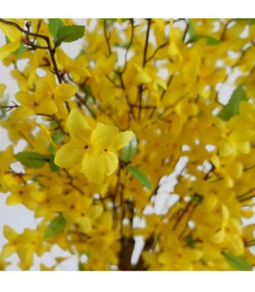 Artificial Forsythia Tree - 120cm Yellow Silk Flowers Natural Wood Trunk 50x50cm