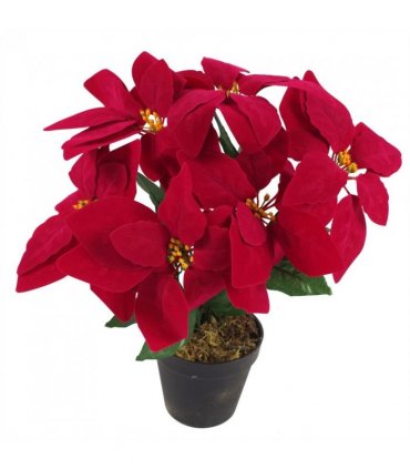 Artificial Christmas Xmas Red Poinsettia 40cm Gold Curved  Metal Planter