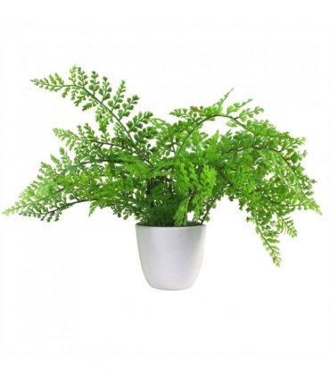 Artificial Fern Plant 30cm Forest Fern Green Plastic 30cm Tall x 40cm x 40cm