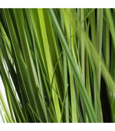Artificial Onion Grass Plant 130cm Green Silver Metal Planter High Quality