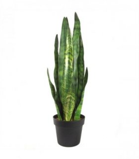 70cm Artificial Sansevieria Zeylanica Plant