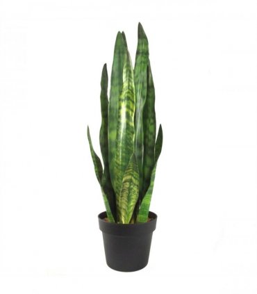 70cm Artificial Sansevieria Zeylanica Plant