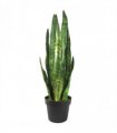 70cm Artificial Sansevieria Zeylanica Plant