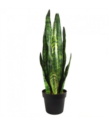 70cm Artificial Sansevieria Zeylanica Plant