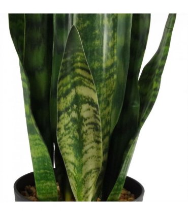 70cm Artificial Sansevieria Zeylanica Plant