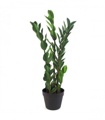 Artificial Zanzibar Green Gem Zamioculcas Succulent Indoor Plant 75cm Green