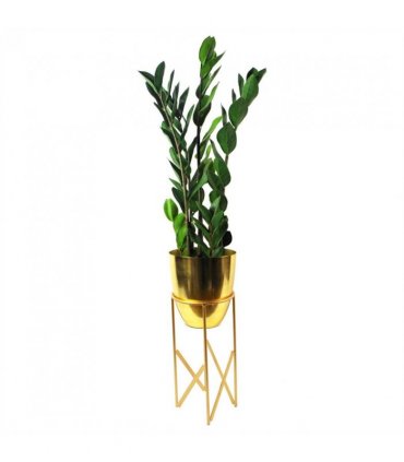 Artificial Zanzibar Green Gem Zamioculcas Succulent Indoor Plant 75cm Green