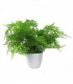 30cm Artificial Potted Lady Fern (Athyrium Filix-Femina)