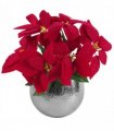 Artificial Christmas Xmas Red Poinsettia 40cm Silver Hammered Metal Planter