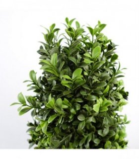 120cm Sprial Buxus Artificial Tree UV Resistant Outdoor