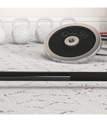 Barbell Bar for 2"/5cm Weight Plates, Home Gym Weight Lifting Bar, 210cm, 20kg