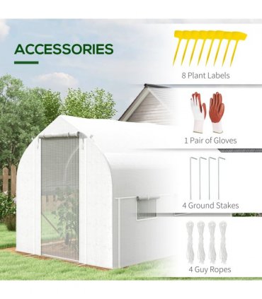 3 x 2m Polytunnel Greenhouse with Roll Up Sidewalls, Mesh Door, Plant Labels