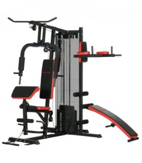 Multi Gym Workout Station with Sit Up Bench, Push Up Stand, Dip Station