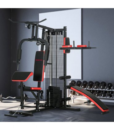 Multi Gym Workout Station with Sit Up Bench, Push Up Stand, Dip Station