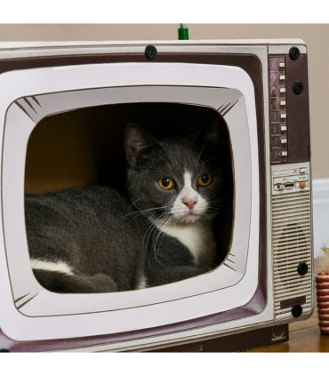 PawHut TV-Shaped Cardboard Cat House with Scratcher, Catnip, Toy Rat