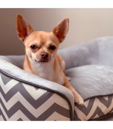 PawHut Dog Sofa Pet Couch for XS Dogs with Removable Sponge Padded Cushion Grey