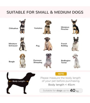 PawHut Elevated Dog Sofa Bed with Cushion for Medium and Small Dogs, Grey
