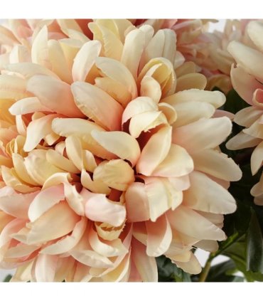 Pack of 6 x 75cm Extra Large Reflex Chrysanthemum - Pink