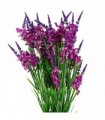 Pack of 6 x 80cm Dark Pink Larkspur Artifical Stem