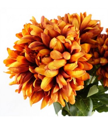 Pack of 6 x 75cm Extra Large Reflex Chrysanthemum - Orange