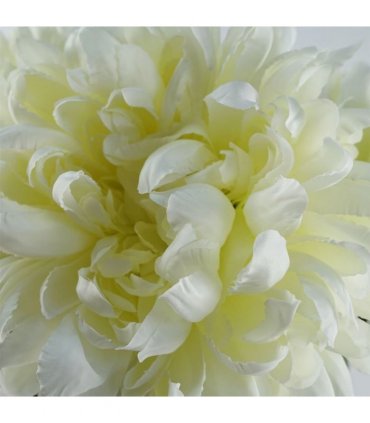 Pack of 6 x 75cm Extra Large Reflex Chrysanthemum - White