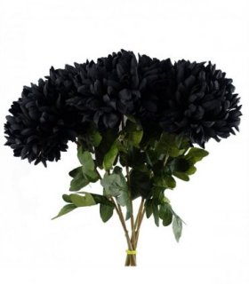 Silk Black 75cm Pack of 6 x 75cm Extra Large Reflex Chrysanthemum - Black